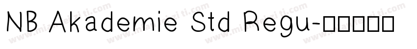 NB Akademie Std Regu字体转换